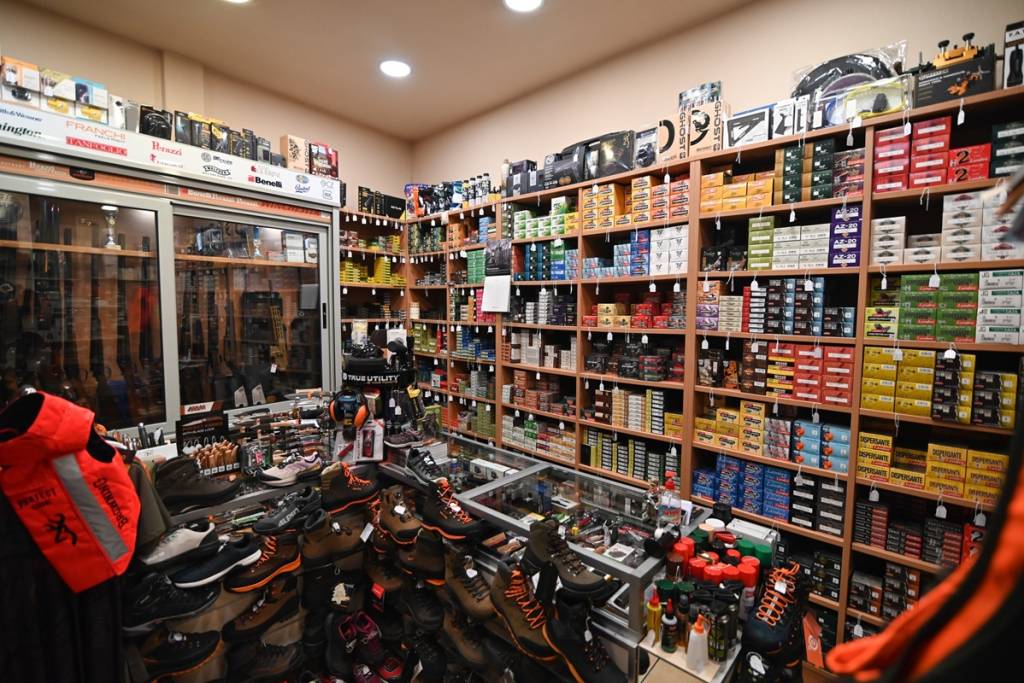 Image 19